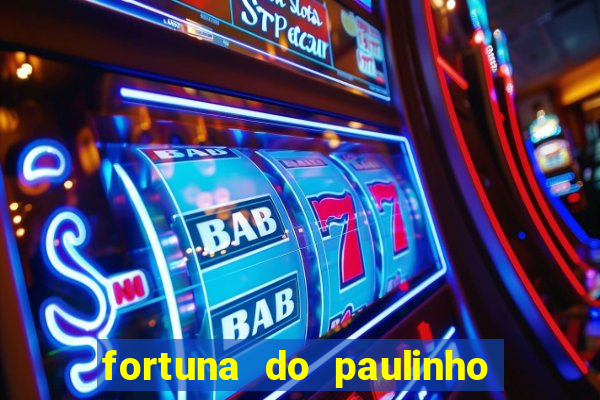 fortuna do paulinho do roupa nova